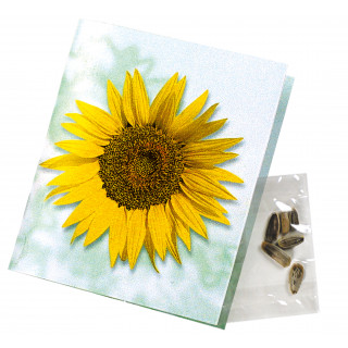 Klappkärtchen Sonne, Zwergsonnenblumen-Samen, 1-4 c Digitaldruck inklusive