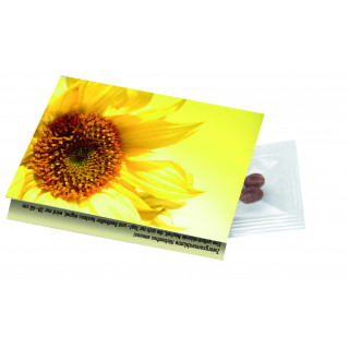 Klappkärtchen Sonne, 90 x 60 mm, Zwergsonnenlbume, 1-4 c Digitaldruck inklusive