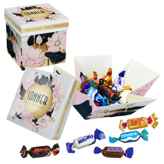 Meeting Star mit 24 Celebrations®