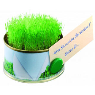 Mini Garten Gras 73 Øx38 mm mit Magnet, Zimmerrasen, 1-4 c Digitaldruck inklusive