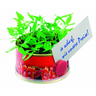 Mini Garten Chili 73 Øx38 mm mit Magnet, Paprika, 1-4 c Digitaldruck inklusive