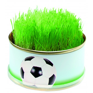 Mini Garten Fußball 73x38mm, 1-4 c Digitaldruck inklusive