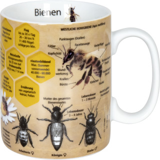 Könitz Porzellan Wissensbecher Bienen KC330 zusätzlich veredelbar