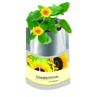 Plant Bag 'Sonne', Zwergsonnenblume, 1-4 c Digitaldruck inklusive