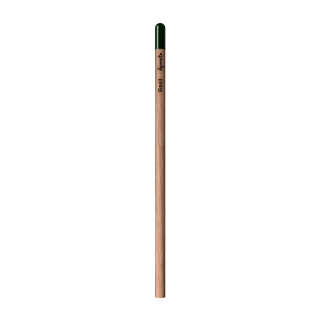 Sprout | Pencil, Basilikum (englisch)