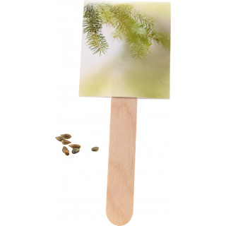 Wachsender Weihnachtsgruß