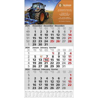 Papierwandkalender mit 3 Monaten auf einer Seite mit Jahreskalendarium auf jedem Kalenderblatt, 3-sprachig (D,GB,F) dt. Feiertage, grau