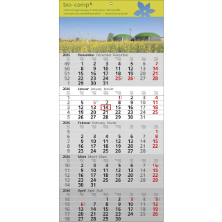 5-Monats-Einblattkalender Standard, grau, 3-sprachig (D, GB, F), deutsche Feiertage