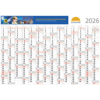 Wandplaner 14 Monate (1000 x 700 mm) inklusive 4-c Druck (Euroskala), grau