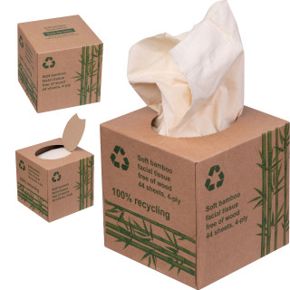 Taschentuchbox CONCEPCION, beige