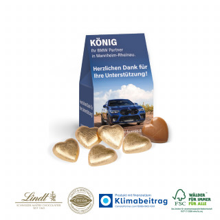 Businesspräsent Selection Mini - 5 Stück (ca. 25 g) Vollmilchherzen von Lindt