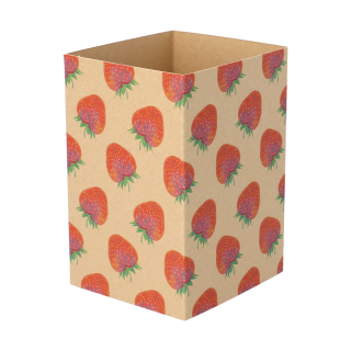 Individueller Pappschuber aus Kraftpapier CreaSleeve Kraft 206, natur