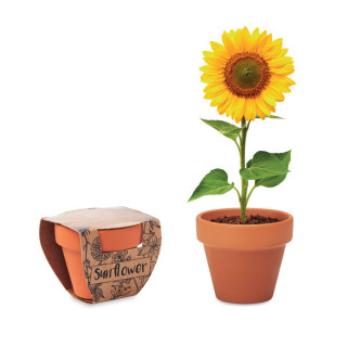 SUNFLOWER Terracotta-Topf Sonnenblume, holz