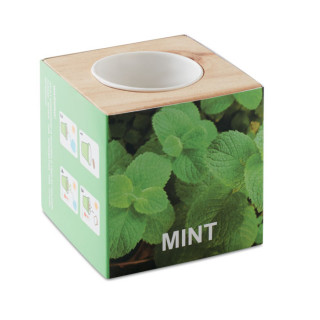 MENTA Kräuterpflanz-Set "Minze'', holz