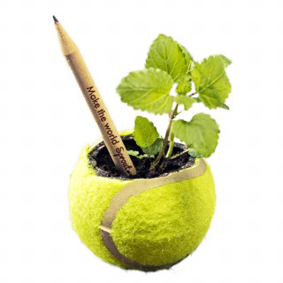 Sprout Bleistift gespitzt, Standardausführung, Basilikum
