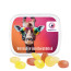 Cavendish & Harvey Mini Bonbons Fruchtmix - Dose aus recycl. Weißblech, weiß