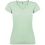mist green