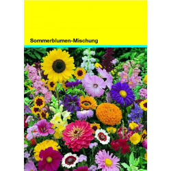 Samentütchen 82x114 mm, bunte Blumenmischung Samentütchen 82x114 mm, bunte Blumenmischung