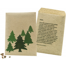 Samentütchen Graspapier Weihnachtsbaum 82 x 114 mm, Fichte 