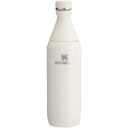 Stanley 600 ml All Day Slim Flasche