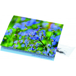 Klappkärtchen Vergissmeinnicht, 90 x 60 mm, Vergissmeinnicht