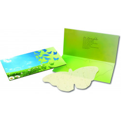 Schmetterlings-Karte, bunte Blumenmischung Schmetterlings-Karte, bunte Blumenmischung