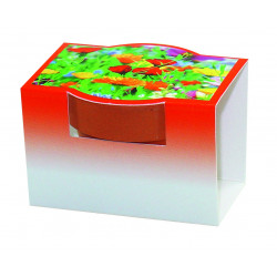 Tontöpfchen Blumengruß, bunte Blumenmischung, 1-4 c Digitaldruck inklusive Tontöpfchen Blumengruß, bunte Blumenmischung, 1-4 c Digitaldruck inklusive