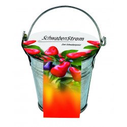 Zink-Eimerchen Chili, Chili, 1-4 c Digitaldruck inklusive Zink-Eimerchen Chili, Chili, 1-4 c Digitaldruck inklusive