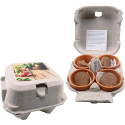 Vitamine 4 You, Basilikum, Kresse, Petersilie, Radieschen Vitamine 4 You, Basilikum, Kresse, Petersilie, Radieschen