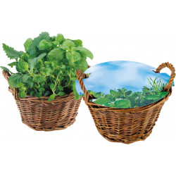 Weiden Körbchen Kräuter, Basilikum, Majoran, Zitronenmelisse Weiden Körbchen Kräuter, Basilikum, Majoran, Zitronenmelisse