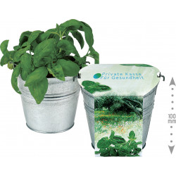 Maxi Kräuter-Eimer, Basilikum, 1-4 c Digitaldruck inklusive Maxi Kräuter-Eimer, Basilikum, 1-4 c Digitaldruck inklusive