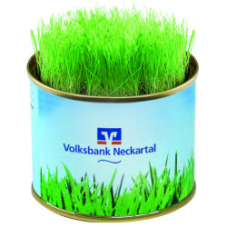 Grüne-Oase-Dose, Ø 73x58 mm, Zimmerrasen