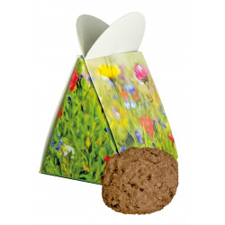 Blumige Überraschung, bunte Blumenmischung Blumige Überraschung, bunte Blumenmischung