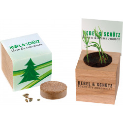 Naturwürfel -Buche- 42x42 mm, Samen Fichte, 1-4 c Digitaldruck inklusive Naturwürfel -Buche- 42x42 mm, Samen Fichte, 1-4 c Digitaldruck inklusive