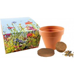 Bienen-Festmahl, Bienenwiesen-Mischung