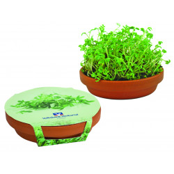 Kresse-Schale, Kresse Kresse-Schale, Kresse