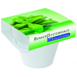 Tontopf Colour "Basilikum", Basilikum, 1-4 c Digitaldruck inklusive Tontopf Colour "Basilikum", Basilikum, 1-4 c Digitaldruck inklusive