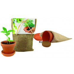 Pflanze Deinen Baum Natur-Säckchen, Akazien-Baumsamen, 1-4 c Digitaldruck inklusive Pflanze Deinen Baum Natur-Säckchen, Akazien-Baumsamen, 1-4 c Digitaldruck inklusive