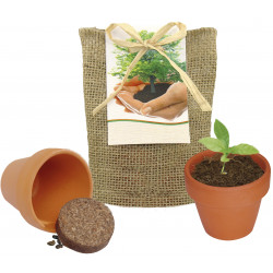 Pflanze Deinen Baum kleines Natur-Säckchen, Akazien-Baumsamen, 1-4 c Digitaldruck inkl. Pflanze Deinen Baum kleines Natur-Säckchen, Akazien-Baumsamen, 1-4 c Digitaldruck inkl.