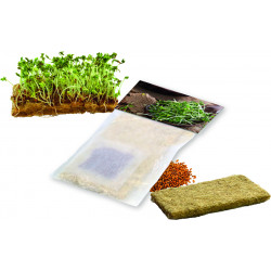 Naturvlies Kräuter, Kresse Naturvlies Kräuter, Kresse