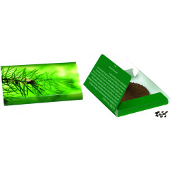 Fichten-Päckchen, Fichte Fichten-Päckchen, Fichte