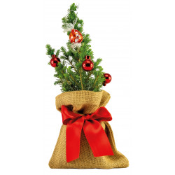 Kugelglanz-Bäumchen 20-30 cm, in Einzelkartonage