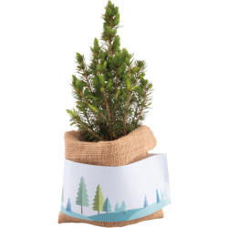 Weihnachtsgruß-Bäumchen