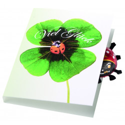 Klappkärtchen Glückskäfer, 1-4 c Digitaldruck inklusive Klappkärtchen Glückskäfer, 1-4 c Digitaldruck inklusive