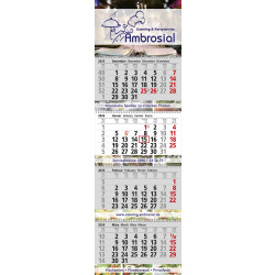 Wandkalender Exclusiv 4