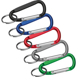 Schlüsselanhänger mit Karabinerhaken Schlüsselanhänger mit Karabinerhaken
