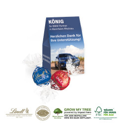 WERBEPRÄSENT „SELECTION MINI“ - 2 Stück (ca. 24 g) Lindt Lindor Pralinés