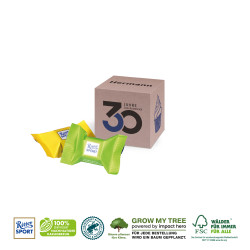 WERBEWÜRFEL - 2 Stück (ca. 16 g) Ritter SPORT Schokowürfel