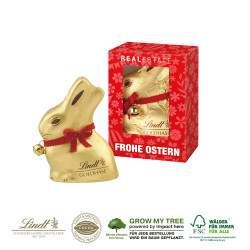 LINDT GOLDHASE IN WERBEKARTONAGE, 50 g