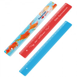 EXPRESSDRUCK Lineal 16 cm EXPRESSDRUCK Lineal 16 cm